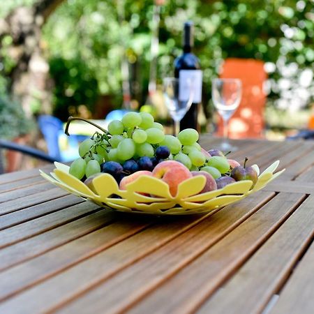 Mihaela Apartment 자다르 외부 사진